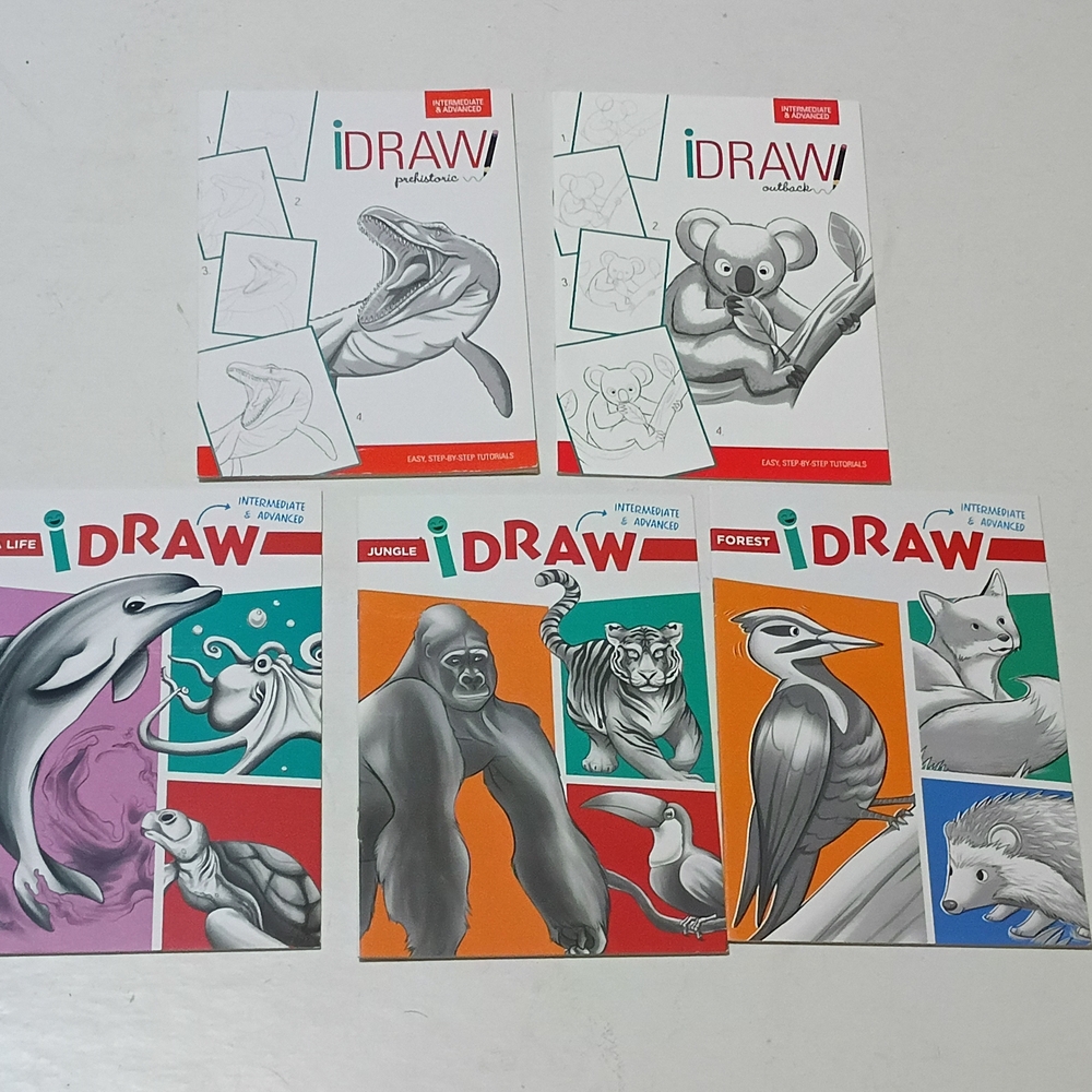 iDraw Art Instruction Book Set